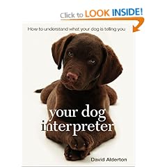 Your Dog Interpreter: How to Understand What Your Dog Is Telling You