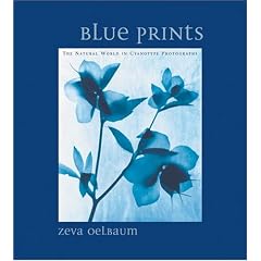 Blue Prints: Cyanotype Photographs