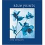 Blue Prints: Cyanotype Photographs