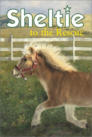 Shetland Pony