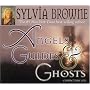 Angels, Guides, and Ghosts