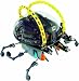 Elenco Escape Robot Kit (soldering required)