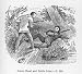 Digging Potatoes, 1905 by Carl Larsson - 3x2 inch Fridge Magnet - large magnetic button - Magnet