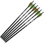6 - Pk. Parker 20" Crossbow Arrows w/ Vanes