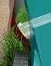 variant image