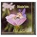 Flitterbyes Rock-a-bye Baby Relaxation CD