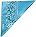 ExOfficio BugsAway Paisley Bandana