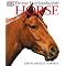 Study Philosophy from a Horse