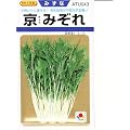 ミズナ　タキイ交配　京みぞれ　タキイのミズナ種です
