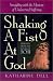 Shaking a Fist at God: Struggling with the Mystery of Undeserved Suffering