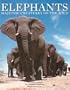 Elephants: Majestic Creatures of the Wild (Mighty Creature Series)