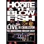 Hootie & The Blowfish: Live in Charleston [DVD] [2006] [Region 1] [US Import] [NTSC]