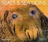Seals & sea lions