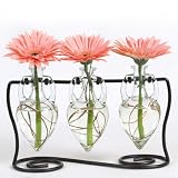 Three Clear Amphora Bottles & Metal Stand