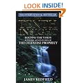 The Tenth Insight: Further Adventures of 'The Celestine Prophecy'