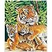 Tiger and Cubs Pencil-by-Number