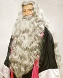 Adult Awesome Grey Wizard Wig & Beard Set