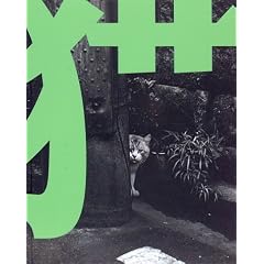 �L�\TOKYO WILD CATS ���c�Ԏʐ^�W
