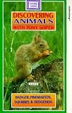 Review Fifth Avenue Films  / Discovering Animals - Badger, Pine Martin, Squirrel And Hedgehog