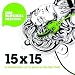 15 x15: Celebrating 15 Years of the Big Chill