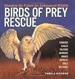 Birds of Prey Rescue: Changing the Future for Endangered Wildlife (Firefly Animal Rescue)