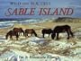 Wild and Beautiful Sable Island: Sand, Seals, Wild Horses, and Shipwrecks