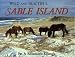 Book Wild and Beautiful Sable Island: Sand, Seals, Wild Horses, and Shipwrecks