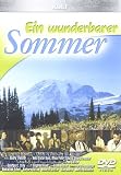 Ein wunderbarer Sommer - Barbara R�tting
