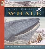 Buy : Big Blue Whale