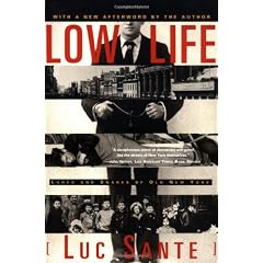 Low Life: Lures and Snares of Old New York