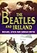 The Beatles and Ireland