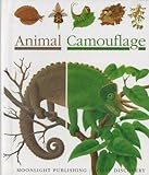 Animal camouflage