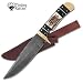 Colorado Damascus Hunter Knife Brass Stag