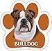 E&S Pets 13125-8 Dog Car Magnet