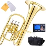 Mendini MAH-L Lacquer E Flat Alto Horn with Stainless Steel Pistons, Gold