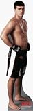 UFC Fighter Lyoto Machida Life-Size Cardboard Cutout Standup Standee Poster