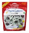 YummyEarth Organic Lollipops, Chili Lime Lambada (60 Count), 12.3-Ounce Bags (Pack of 4)