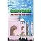 Great Books on Islam