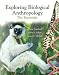 Exploring Biological Anthropology: The Essentials (MyAnthroLab Series)