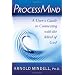 Processmind: A User's Guide to Connecting with the Mind of God