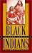 Black Indians: A Hidden Heritage