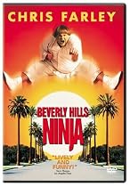 Find Beverly Hills Ninja Online.