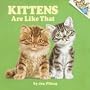 Kittens Are Like That! (Pictureback(R))