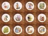 SET (12) PETER RABBIT BENJAMIN BUNNY BEATRIX POTTER DRESSER DRAWER PULLS KNOBS