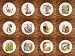 SET (12) PETER RABBIT BENJAMIN BUNNY BEATRIX POTTER DRESSER DRAWER PULLS KNOBS