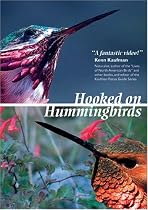 Hooked on Hummingbirds