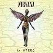 nirvana in utero