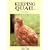 Keeping Quail: A Guide to Domestic and Commercial Management