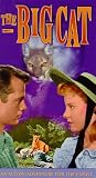 Big Cat by United American Video