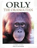 Orly : the orangutan